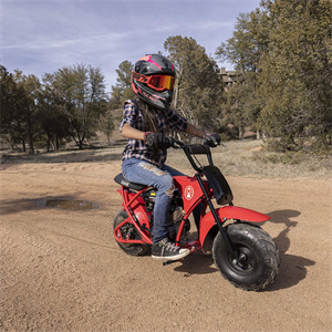 Coleman B100 Mini Bike - Coleman Mini Bike