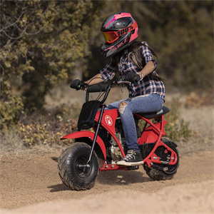 Coleman B100 Mini Bike - Coleman Mini Bike